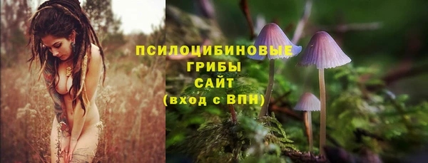 СК Кинешма